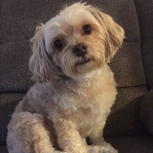 Meet your Posher, Hallie